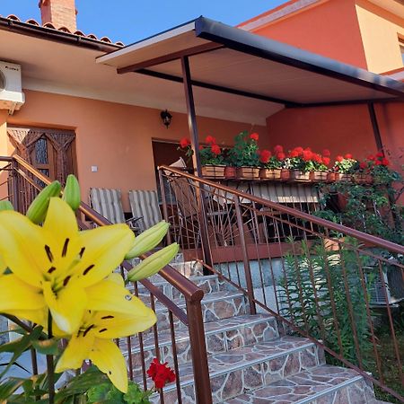 Apartman Branka Лабин Екстер'єр фото