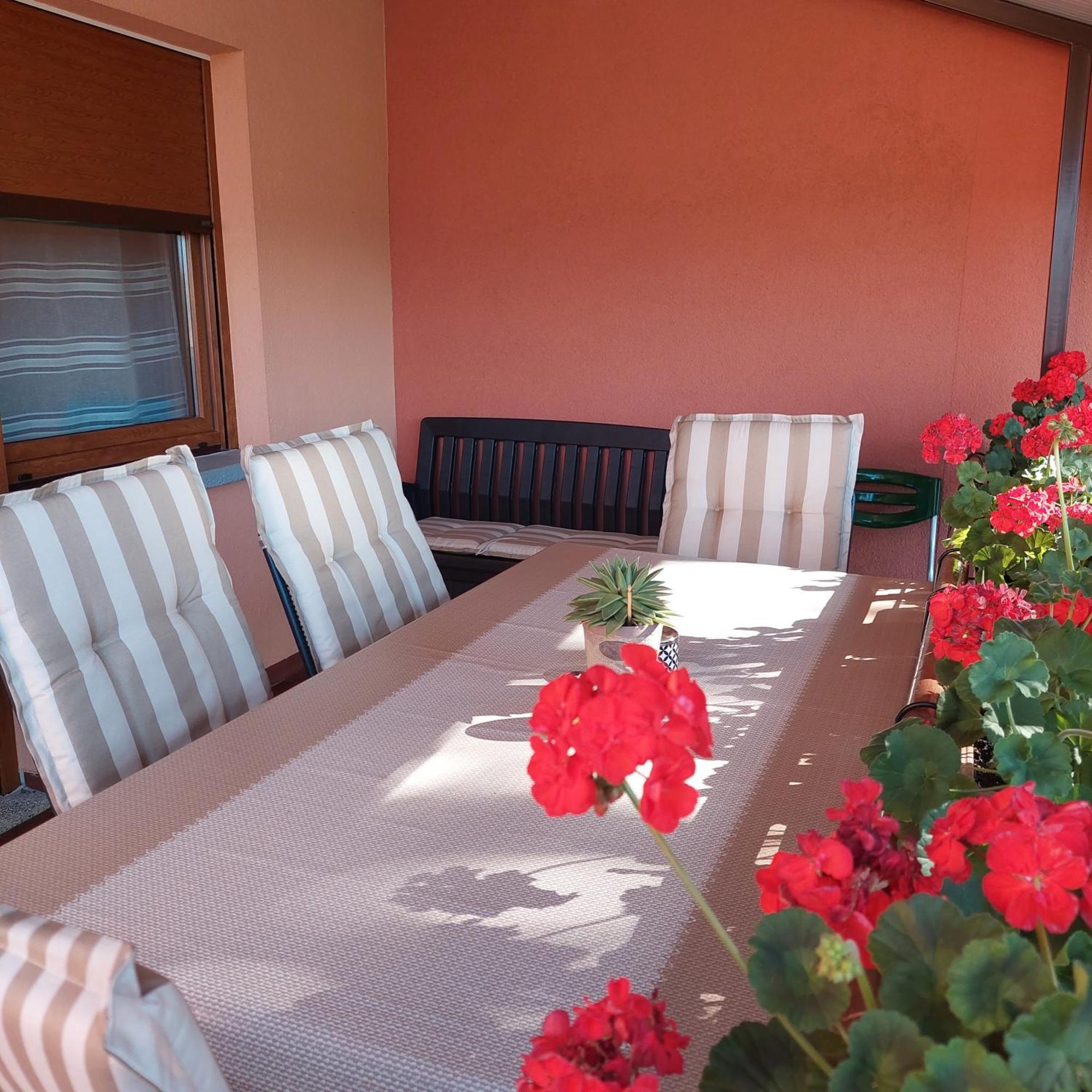 Apartman Branka Лабин Екстер'єр фото